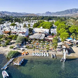 https://sea-side-beach-club.aegeanhotels.net